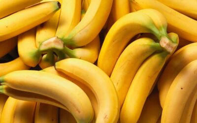Banany – jak wpływają na nasze zdrowie, ich wartość odżywcza i właściwości zdrowotne